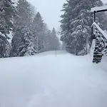 Le Rocher Du Cerf Otel Le Lioran