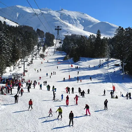 Отель Le Rocher Du Cerf Ле-Лиоран