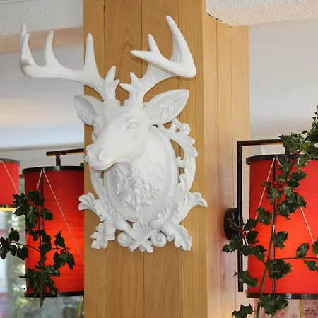 Le Rocher Du Cerf ホテル