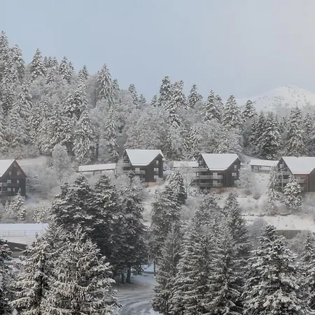 Otel Le Rocher Du Cerf Le Lioran