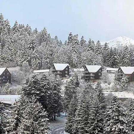 Le Rocher Du Cerf Otel Le Lioran