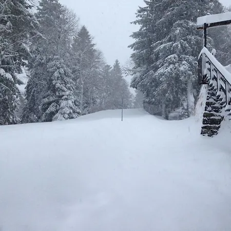 Le Rocher Du Cerf Hotel Le Lioran