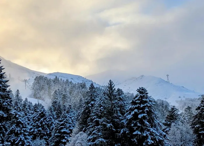 Hotel Le Rocher Du Cerf Le Lioran