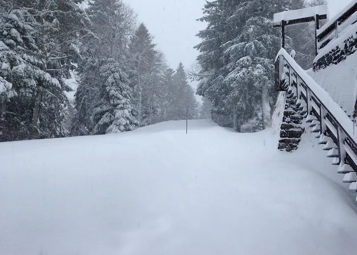 Le Rocher Du Cerf Hotel Le Lioran